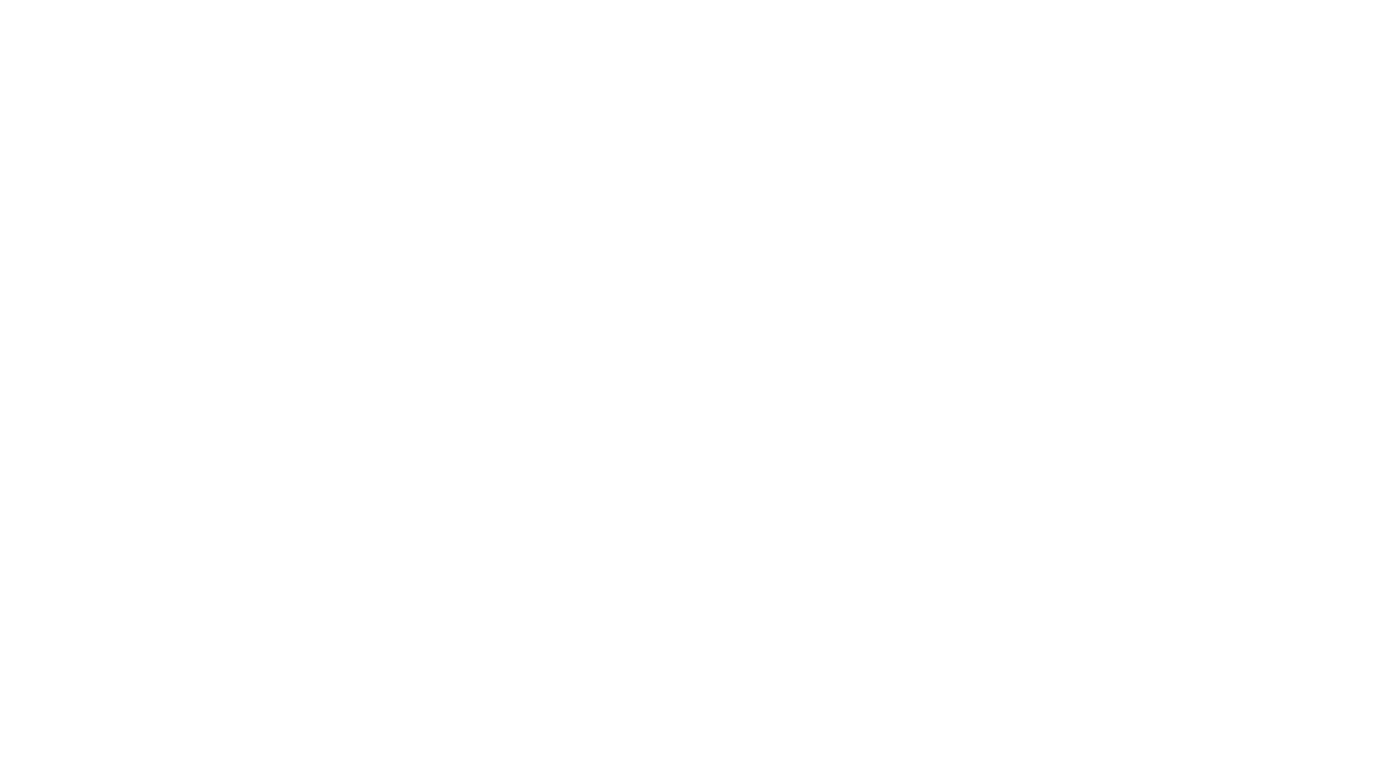 Savicki Capital Logo in White with Tagline
